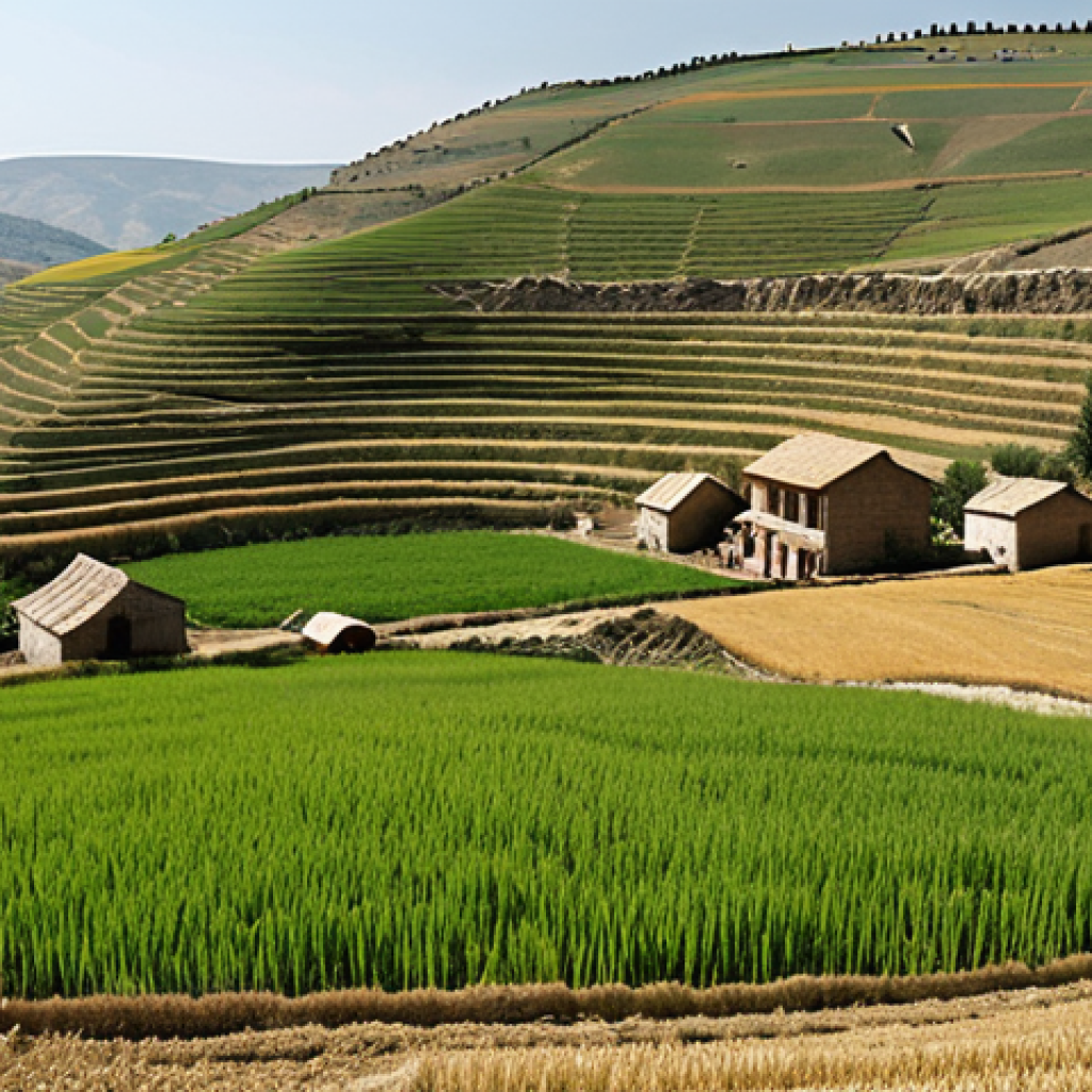 **

A panoramic view of rural Anatolia featuring traditional farming practices. Depict terraced fields with crops like wheat and barley, showcasing the "nadas" (fallow) method. In the background, a small village with stone houses blends into the landscape. The image should convey a sense of harmony between people and nature, reflecting the region's agricultural heritage.

**